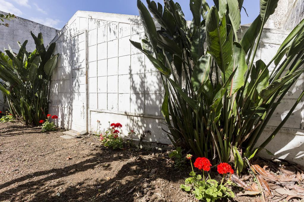 Family House Garden Villa Ponta Delgada Cameră foto